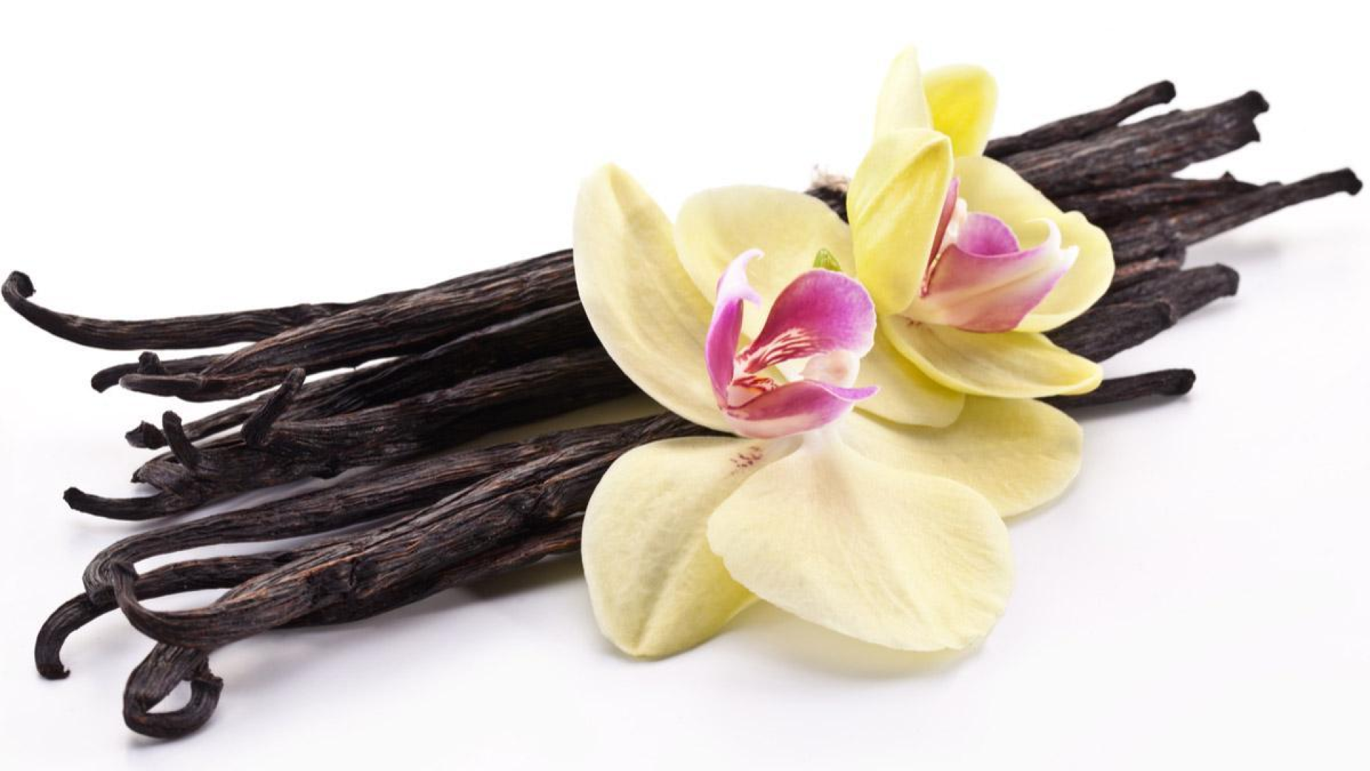vanilla-extract